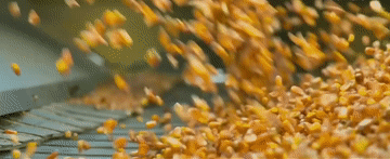 1735201608925590.gif 202412230a99a2b35fea41cfa605d27269fb17b1_20241223527f3dc5ef324b3f938cf996a19d3aa6.gif