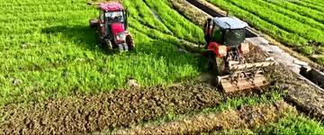 1735201641528708.gif 202412230a99a2b35fea41cfa605d27269fb17b1_20241223f343e1a00a604ccb9610201c6164ddaf.gif