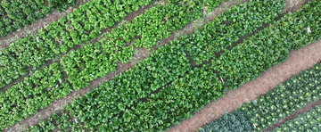 1735201751205186.gif 202412230a99a2b35fea41cfa605d27269fb17b1_20241223b9cd93ddfa1047e6a9c9c45ee2fbbcd7.gif